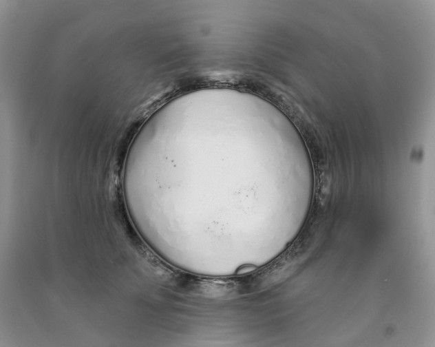 X0000091310707200709071114