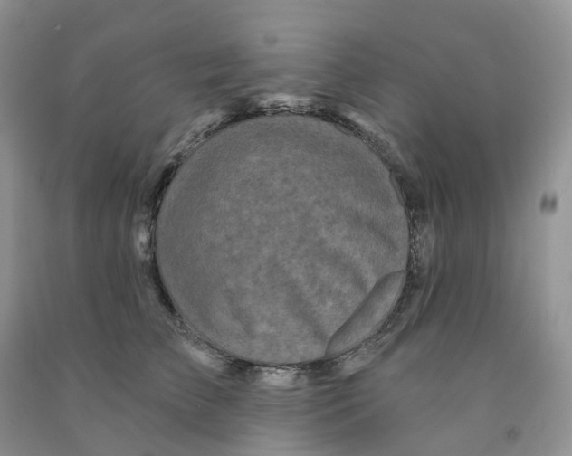 X0000091310709200709071114