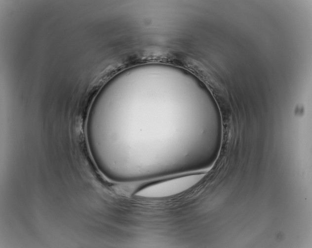 X0000091310711200709071114