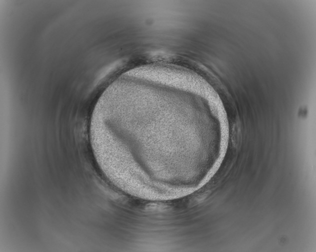 X0000091310714200709071114