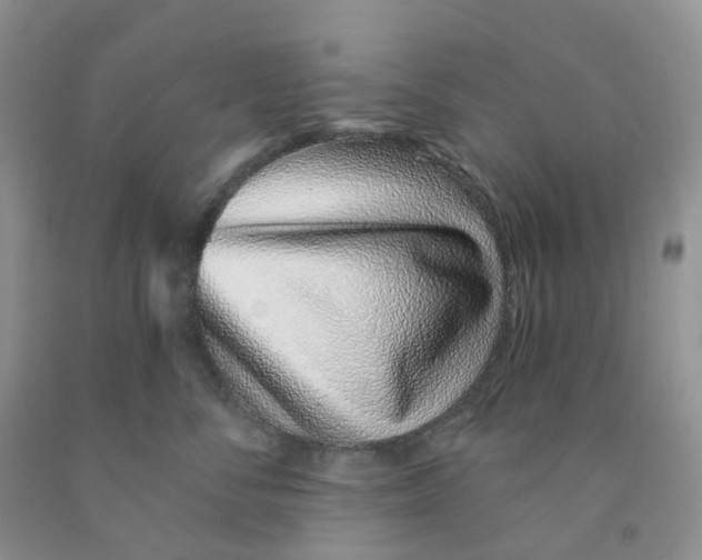 X0000091310716200709071114