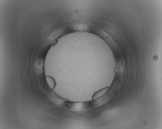X0000091310717200709071114