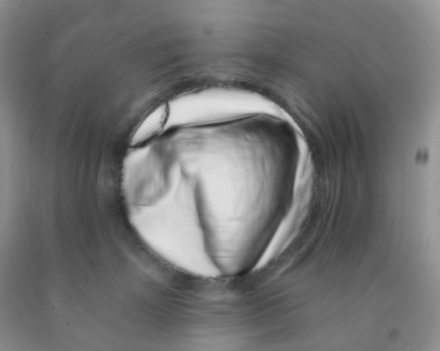 X0000091310718200709071114