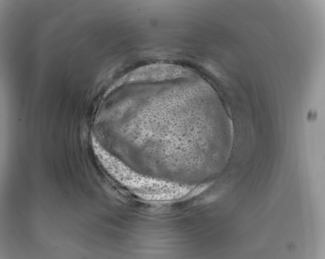 X0000091310720200709071114