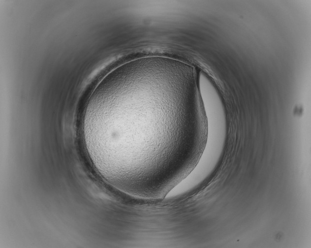 X0000091310722200709071113