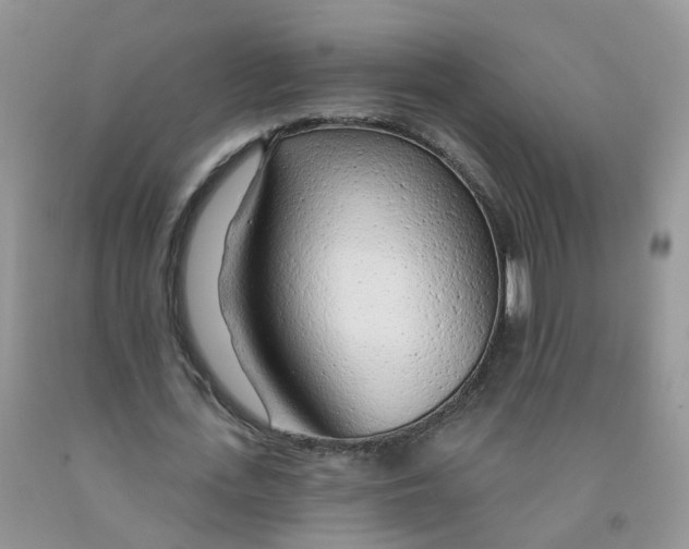 X0000091310723200709071113
