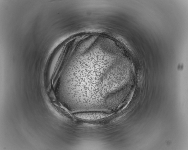 X0000091310726200709071113