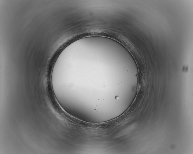 X0000091310728200709071113