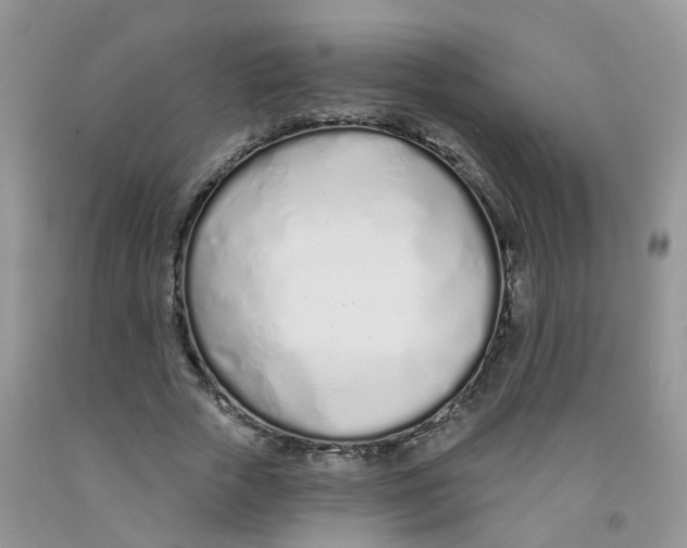 X0000091310729200709071113