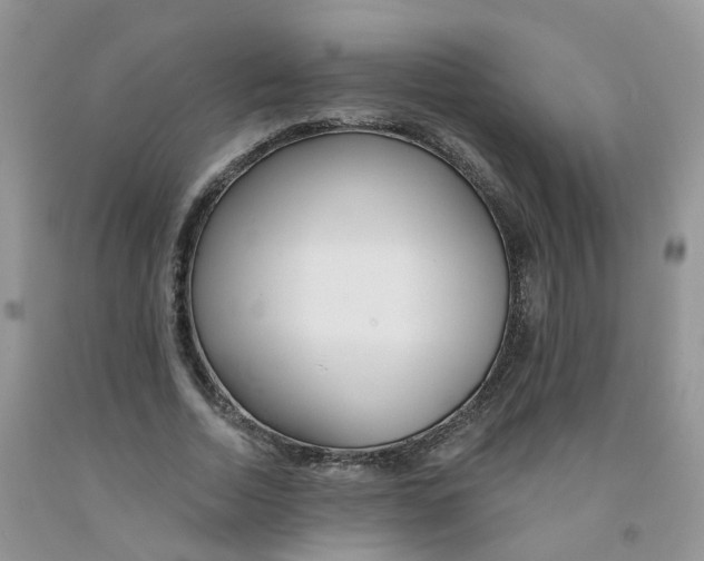 X0000091310730200709071113