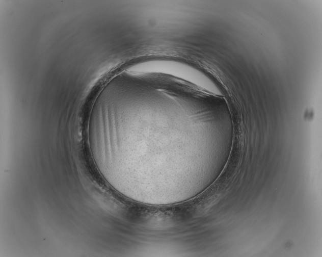 X0000091310731200709071113