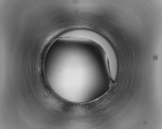 X0000091310732200709071113