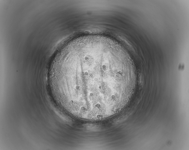 X0000091310733200709071113