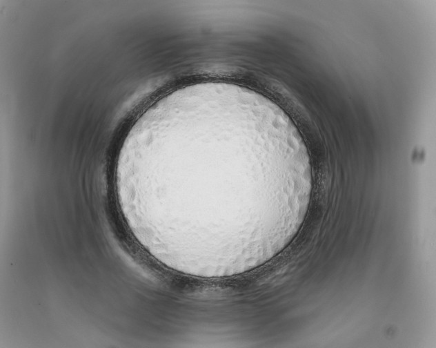 X0000091310734200709071113