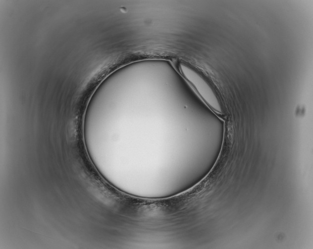 X0000091310735200709071113