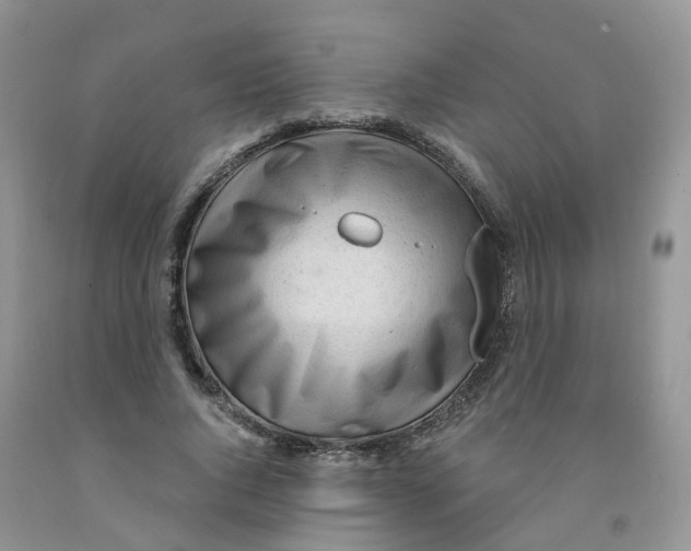 X0000091310736200709071113