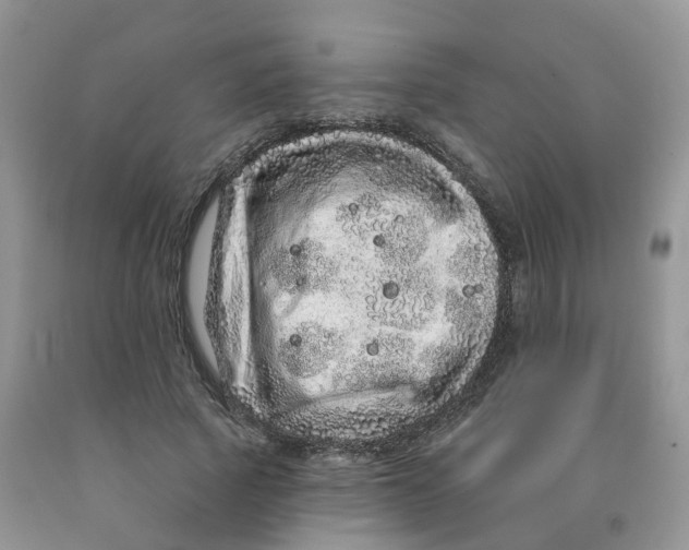 X0000091310737200709071113