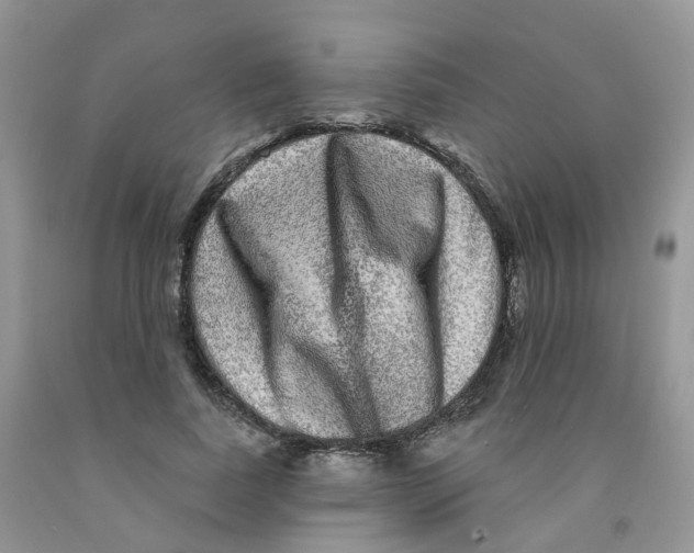 X0000091310739200709071113