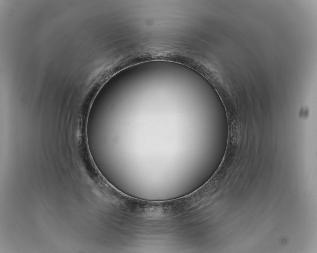 X0000091310740200709071113