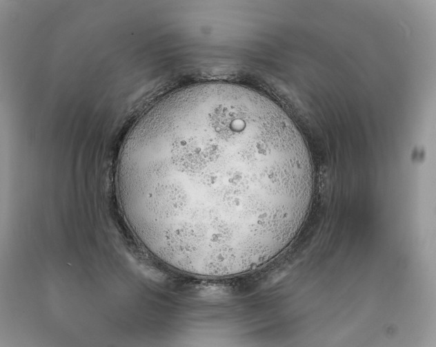 X0000091310741200709071113