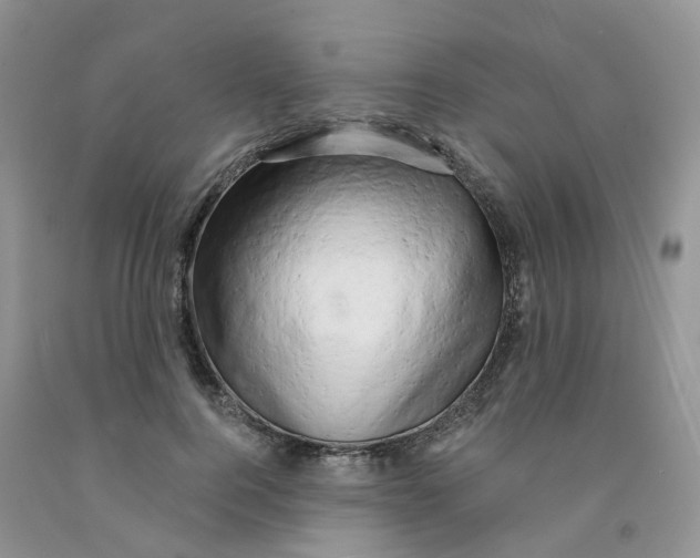 X0000091310744200709071113