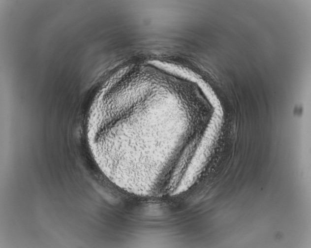 X0000091310746200709071113