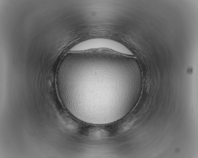 X0000091310747200709071113
