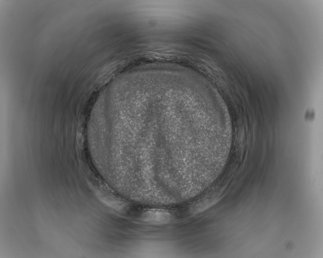 X0000091310749200709071113