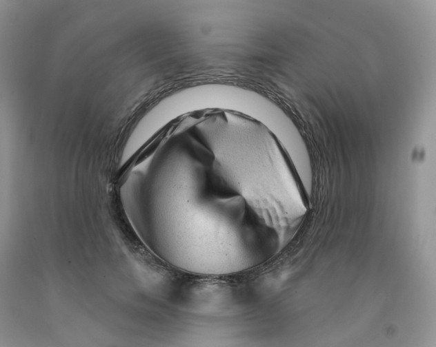 X0000091310750200709071113