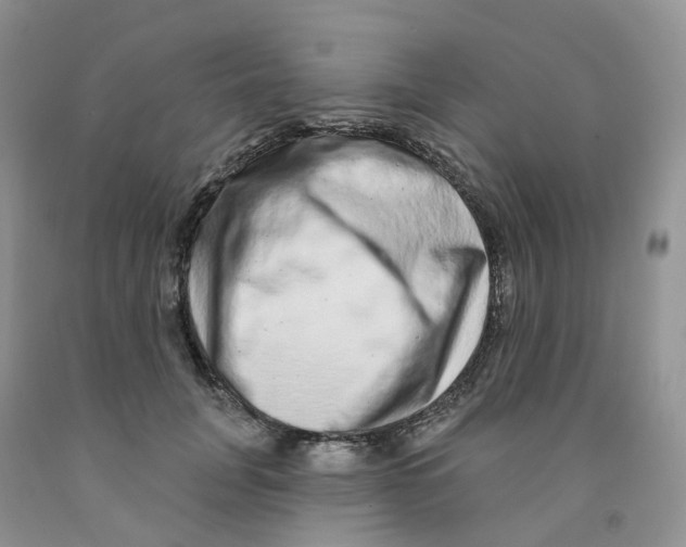 X0000091310751200709071113