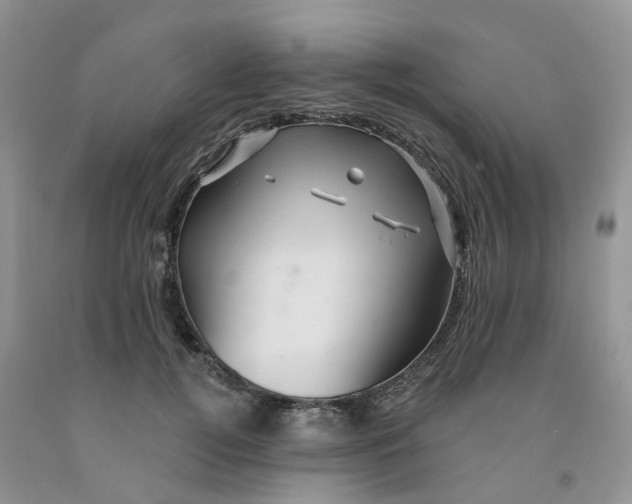 X0000091310752200709071114
