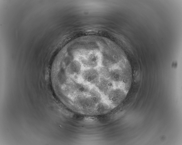 X0000091310753200709071114