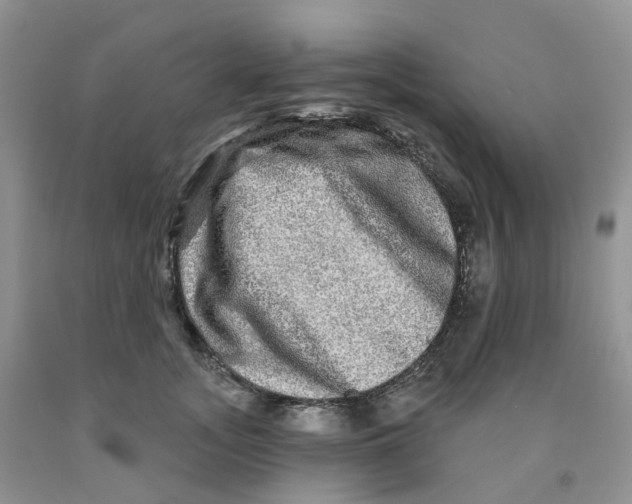 X0000091310755200709071114