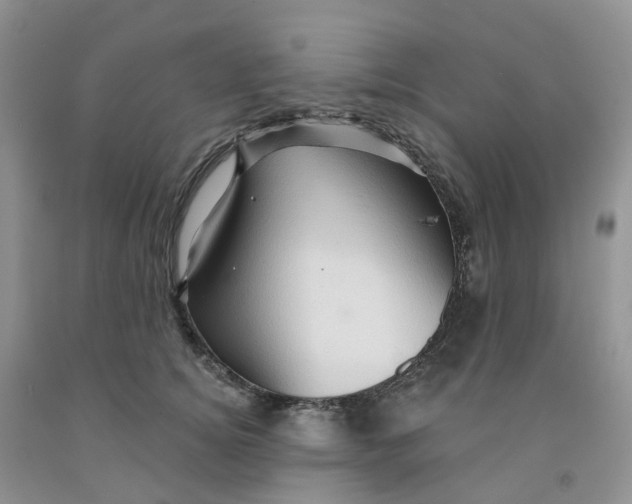 X0000091310756200709071114