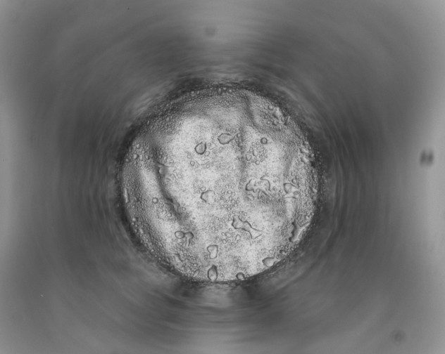 X0000091310757200709071114