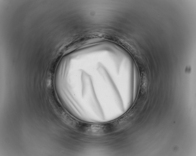 X0000091310758200709071114