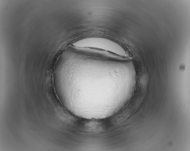 X0000091310759200709071114