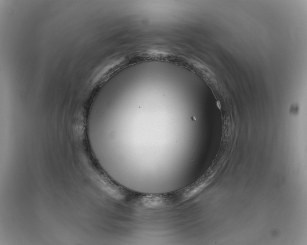 X0000091310762200709071114