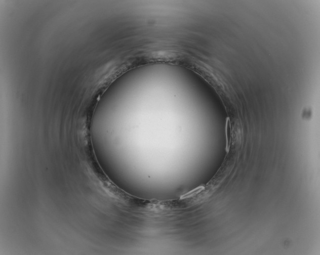 X0000091310764200709071114