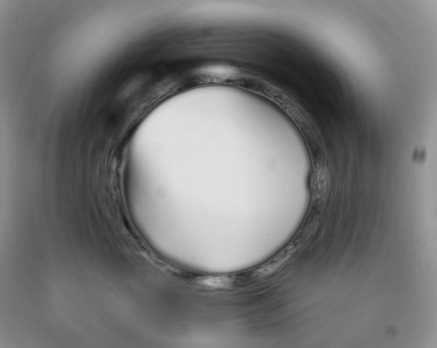X0000091310765200709071114