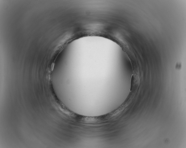 X0000091310766200709071114