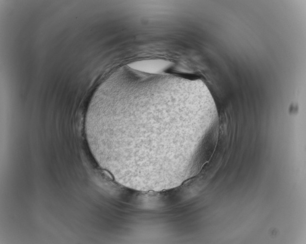 X0000091310767200709071114