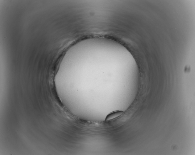 X0000091310768200709071114