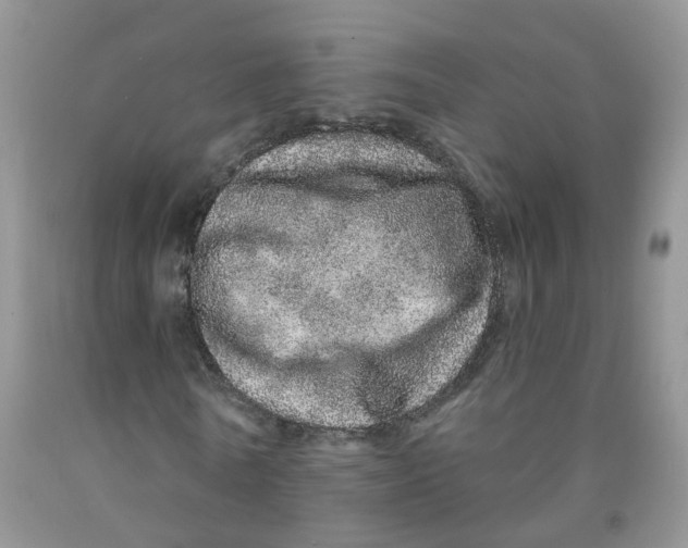 X0000091310770200709071113