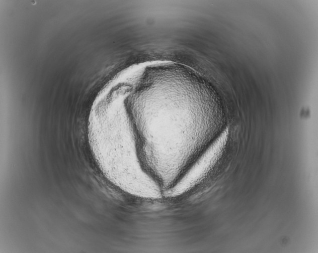 X0000091310772200709071113