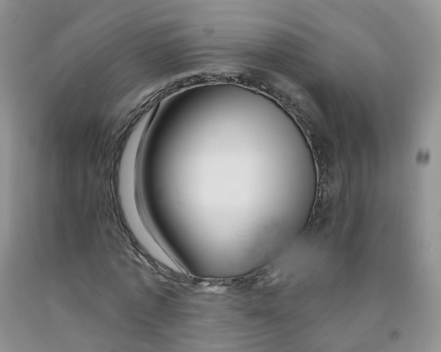 X0000091310773200709071113