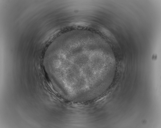 X0000091310774200709071113