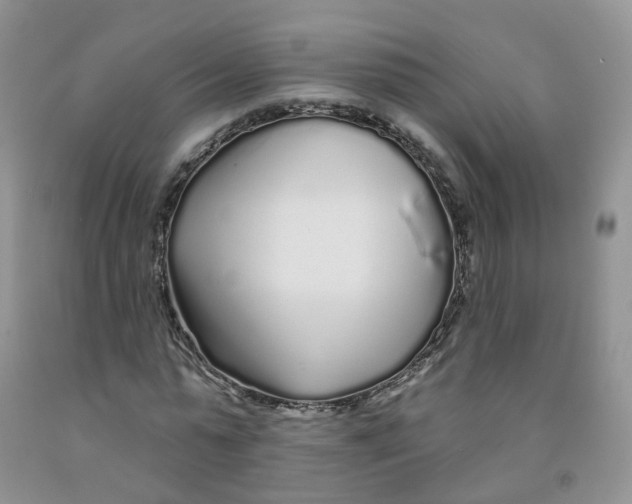 X0000091310775200709071113