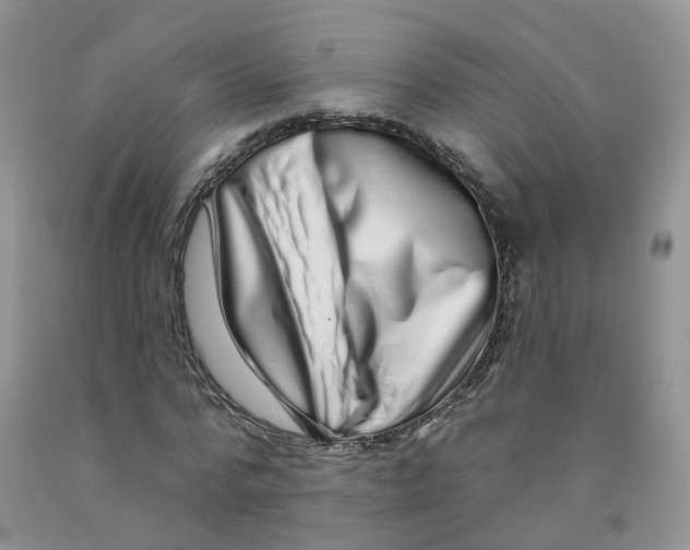 X0000091310776200709071113