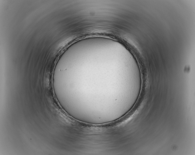 X0000091310777200709071113